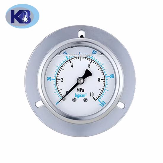 천연 가스 측정용 316L 다이어프램 100mm 스테인레스 스틸 다이어프램 압력 게이지